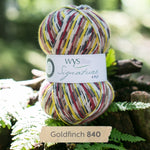 WYS SIGNATURE 4ply - Goldfinch 840 - Beautiful Knitters