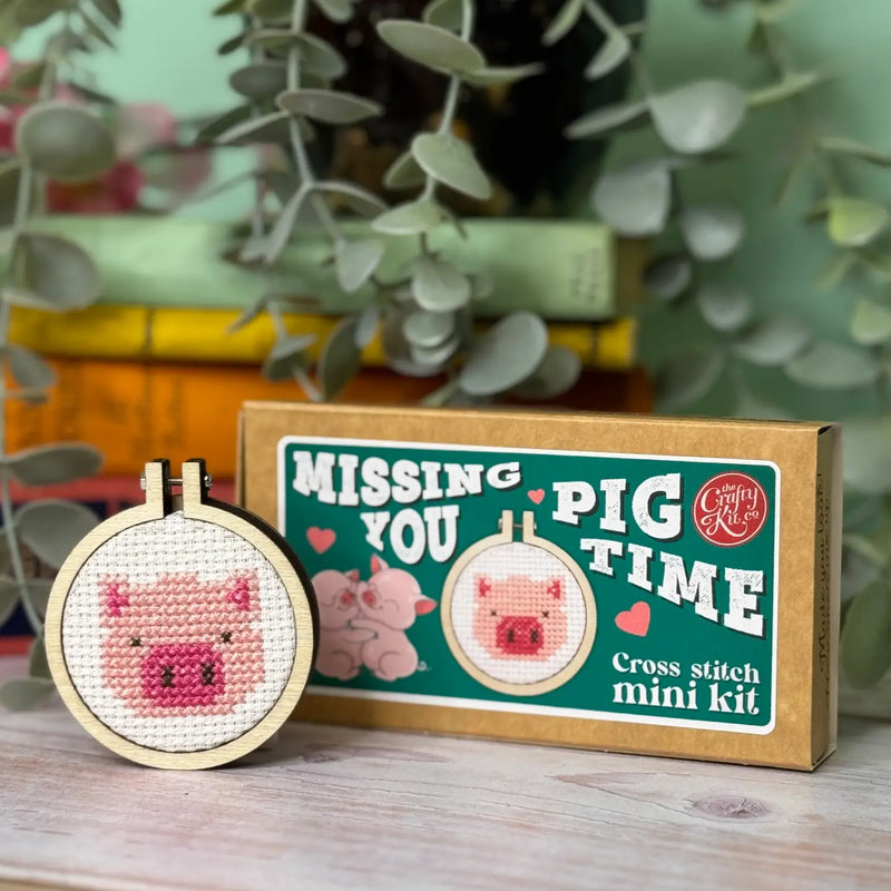 The Crafty Kit Company MINI MATCHBOX CROSS STITCH KIT