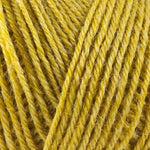 Onion NETTLE SOCK - 1016 Curry - Beautiful Knitters