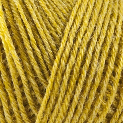 Onion NETTLE SOCK - 1016 Curry - Beautiful Knitters