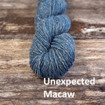 Stolen Stitches NUA SPORT - Unexpected Macaw - Beautiful Knitters