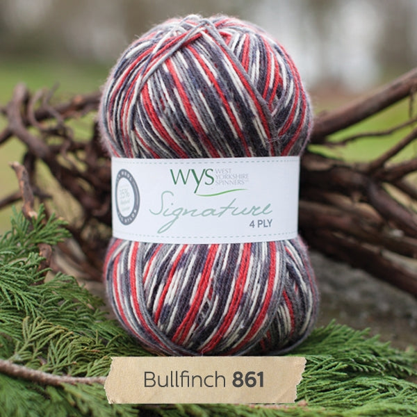 WYS SIGNATURE 4ply - Bullfinch 861 - Beautiful Knitters