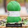 WYS SIGNATURE 4ply - Chocolate Lime 395 - Beautiful Knitters