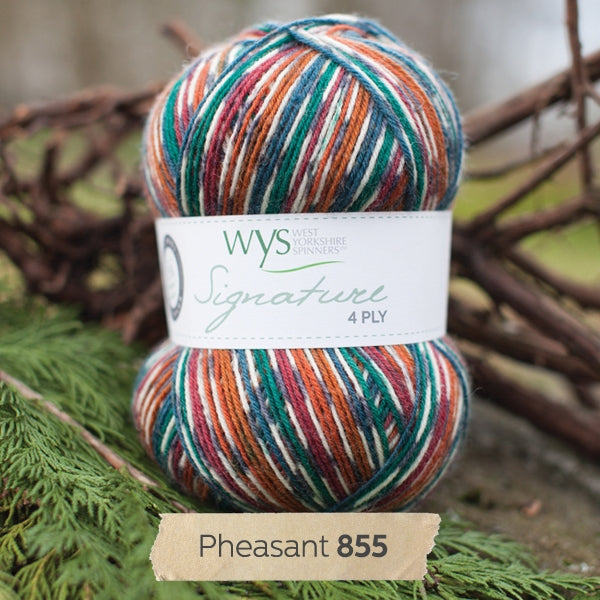 WYS SIGNATURE 4ply - Pheasant 855 - Beautiful Knitters